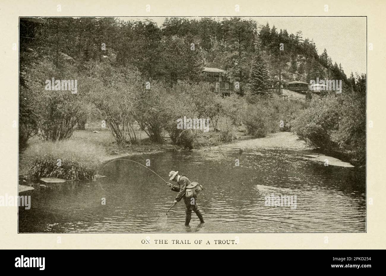 Sur la piste d'une truite du livre ' Colorado, la reine joyau des Rocheuses ' par Mae Lacy Baggs, date de publication 1918 Éditeur Boston, la page société partie de la série ' See America First ' Banque D'Images