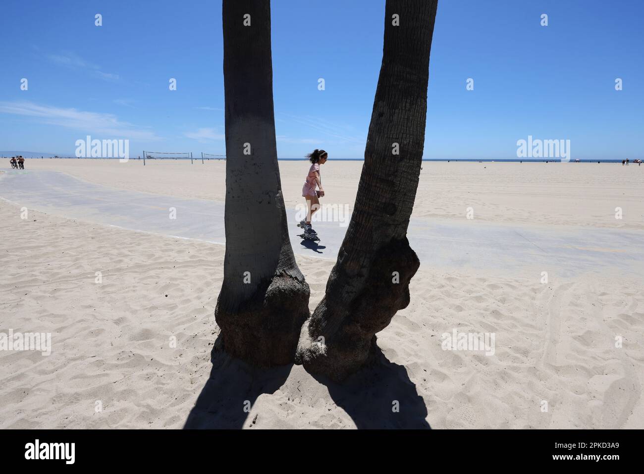 Vues générales sur Venice Beach, Californie, États-Unis. Banque D'Images