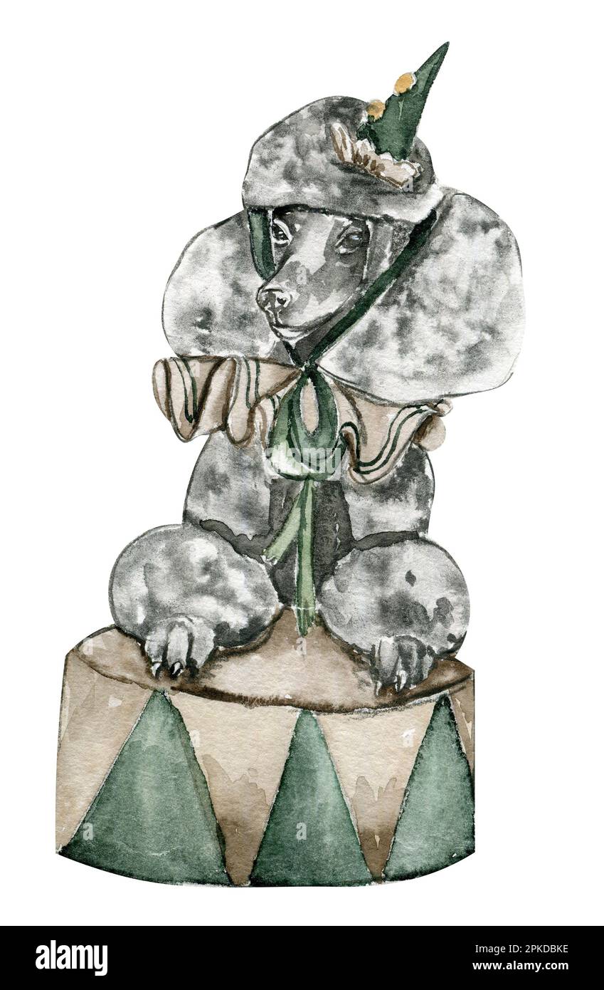 Aquarelle chien de cirque dessiné à la main sur le ballon style vintage. Idéal pour les mariages, les invitations, les blogs, les modèles de cartes, les cartes d'anniversaire et de bébé, les modèles Banque D'Images
