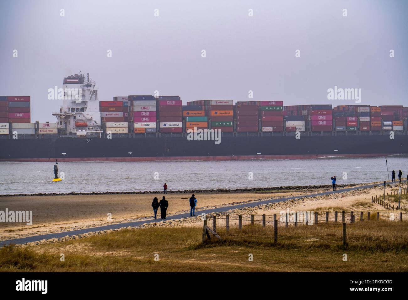 Brouillard épais en hiver, suspendu au-dessus de l'embouchure de l'Elbe dans la mer du Nord, navire à conteneurs NYK Vénus, entrant dans l'Elbe inférieur, Cuxhaven, Basse-Saxe, Banque D'Images