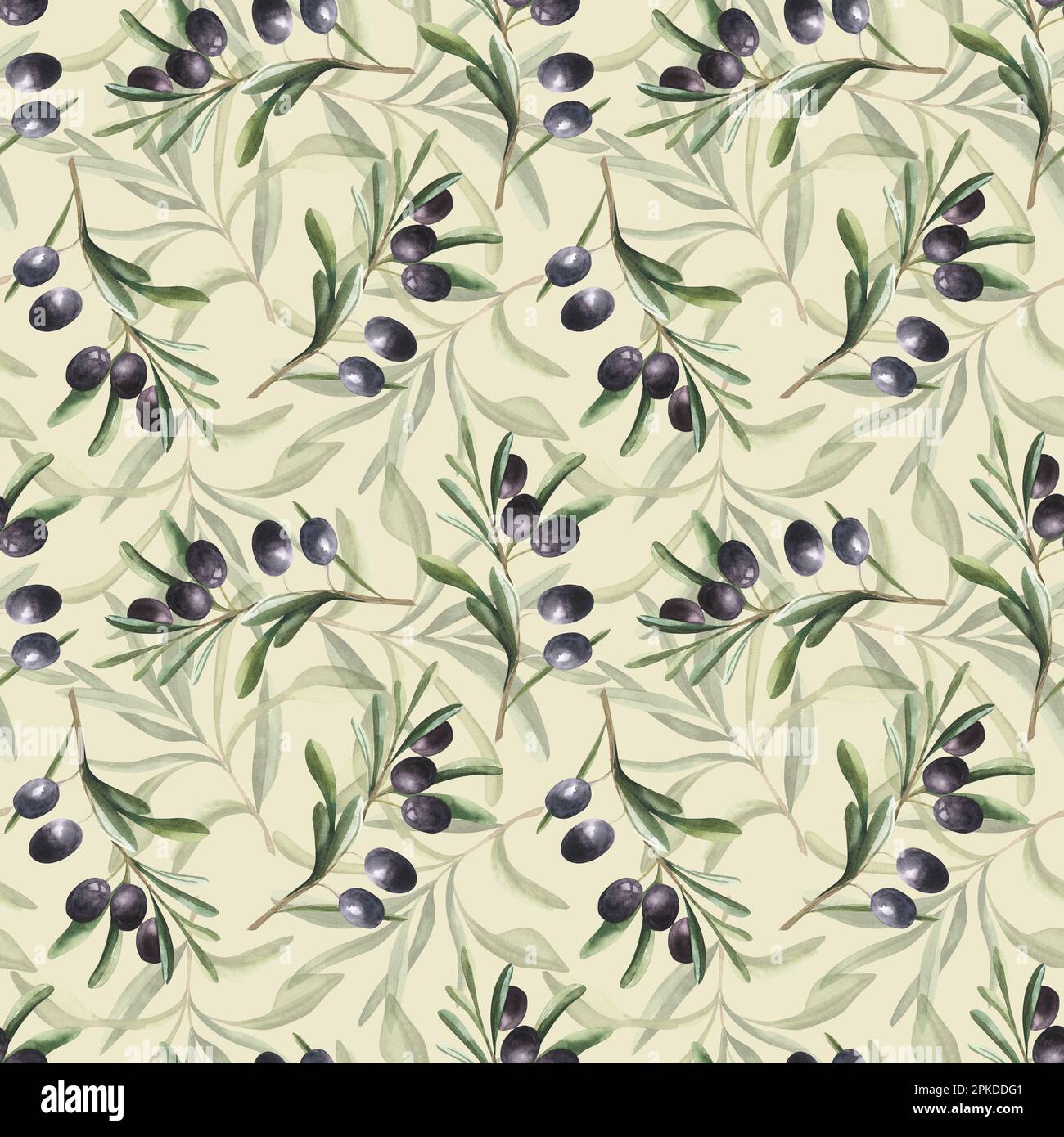 Motif aquarelle sans couture dessiné à la main avec branches et feuilles d'olives noires. Banque D'Images