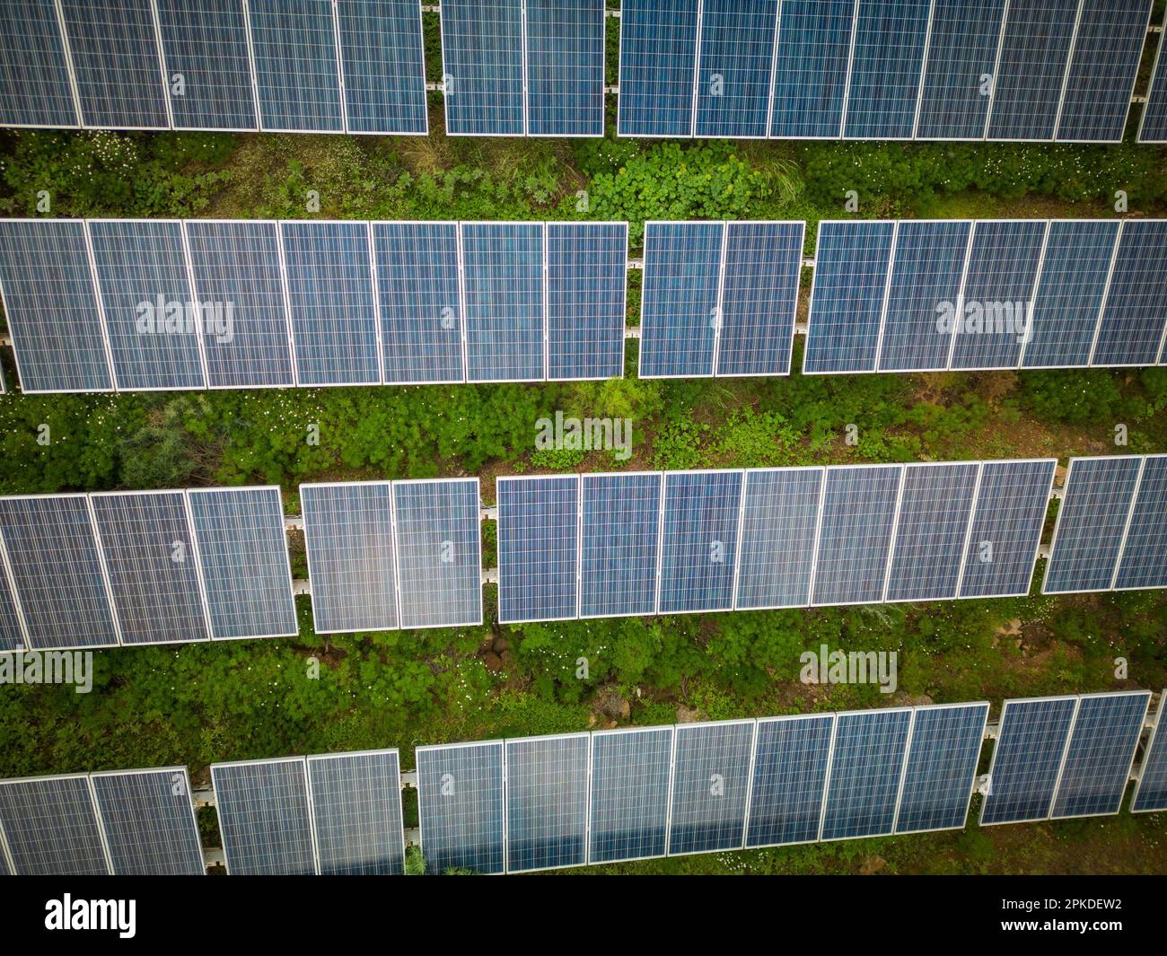 Vue de dessus des panneaux solaires dans une centrale solaire, énergie renouvelable Banque D'Images