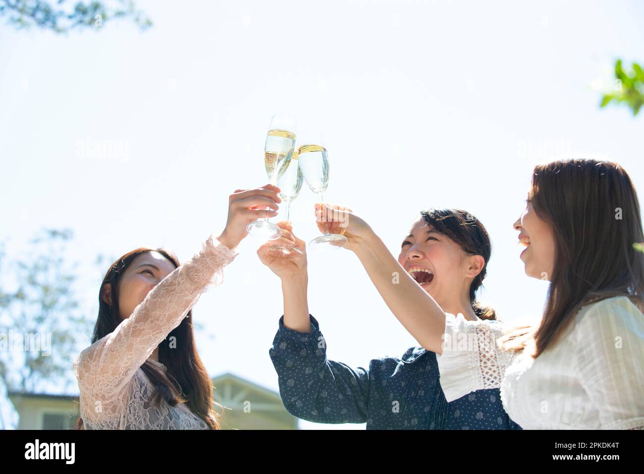 Trois femmes souriantes faisant un toast à une fête de jardin Banque D'Images