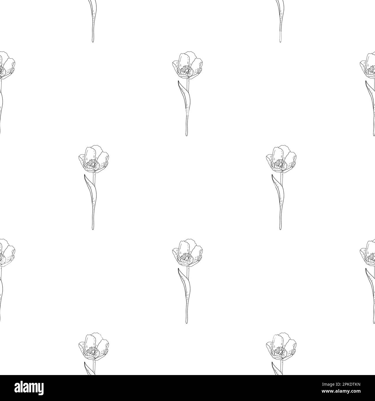 Dessin vectoriel sans couture à la main, motif de bourdonnement, tulipes style doodle, encre de gravure Illustration de Vecteur