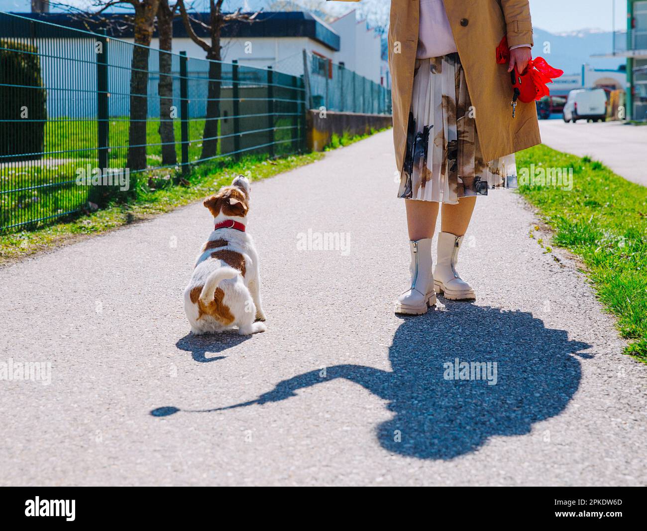 Un petit chien Jack Russell Terrier marchant avec son propriétaire dans une ruelle de la ville. Animaux de compagnie en plein air, vie saine et mode de vie Banque D'Images