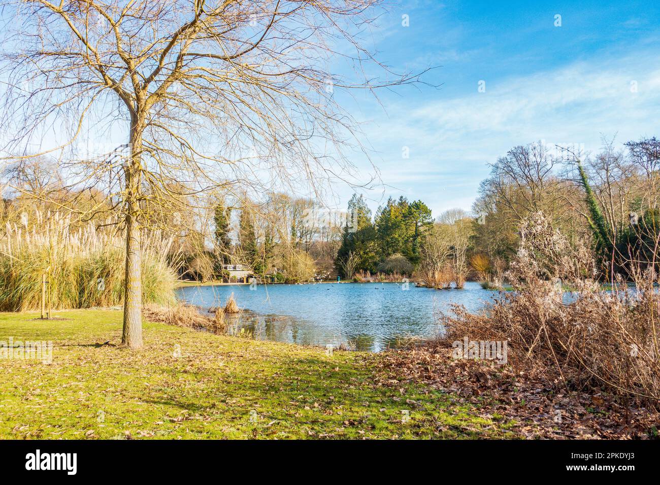 Lac, jardins Russell, hiver, Abbaye de Kearsney, Kearsney, Douvres, Kent, Angleterre Banque D'Images