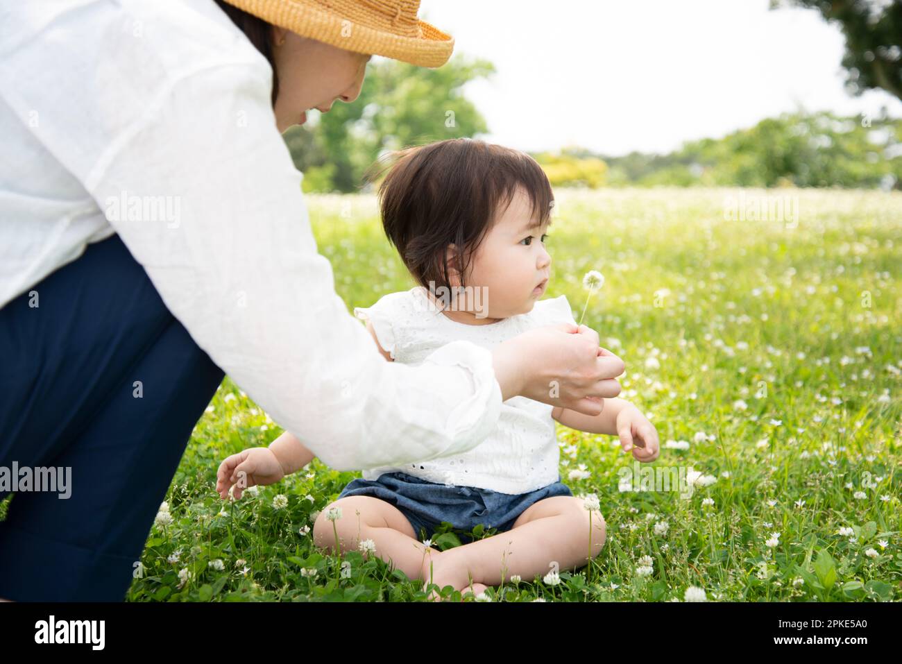 Parent et enfant jouant sur l'herbe Banque D'Images