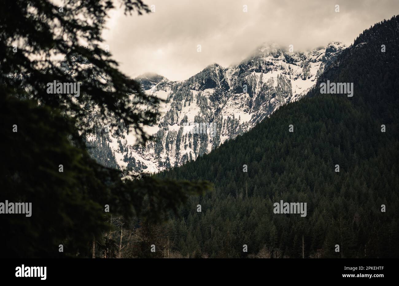 Parc provincial Golden Ears, Maple Ridge, C.-B., Canada. Banque D'Images