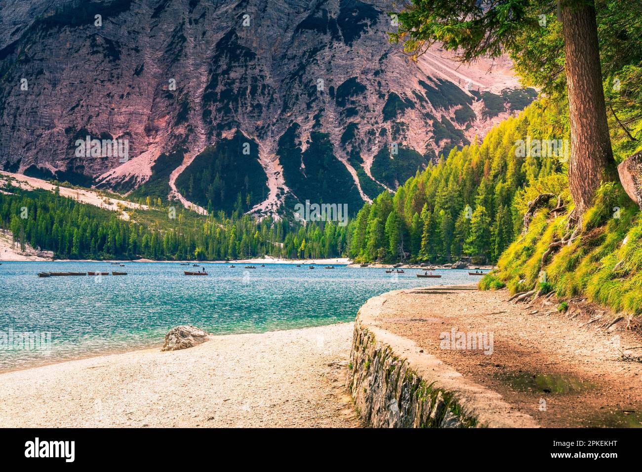 Dolomites, Italie. Lago di Braies, également connu sous le nom de Pragser Wildsee, superbe lac alpin dans le Tyrol du Sud, entouré de sommets imposants et de forêts verdoyantes Banque D'Images