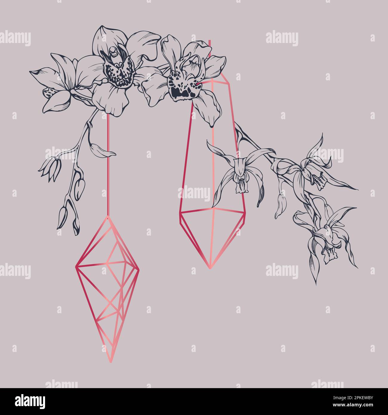 Fleurs et branches d'orchidées à encre vectorielle dessinées à la main, monochrome, contour détaillé. Composition en cristal. Couleur magenta Viva. Design pour mur Illustration de Vecteur