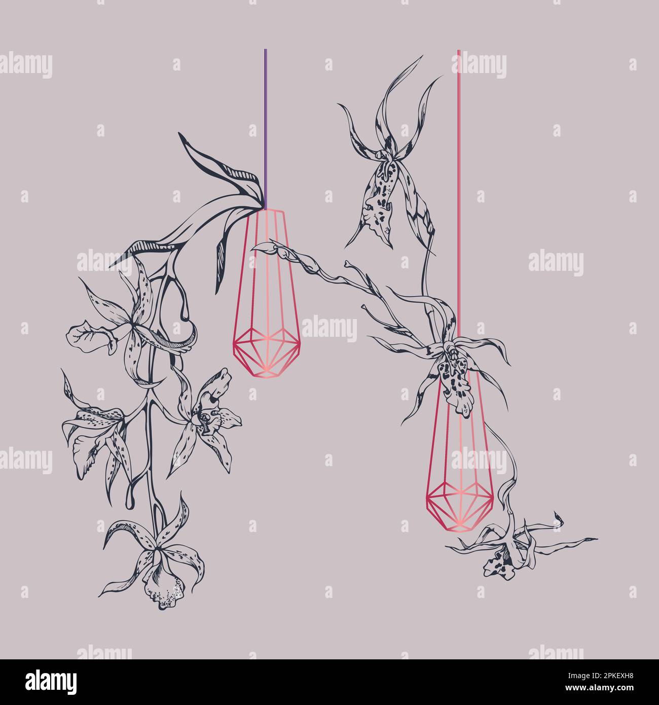 Fleurs et branches d'orchidées à encre vectorielle dessinées à la main, monochrome, contour détaillé. Composition en cristal. Couleur magenta Viva. Design pour mur Illustration de Vecteur