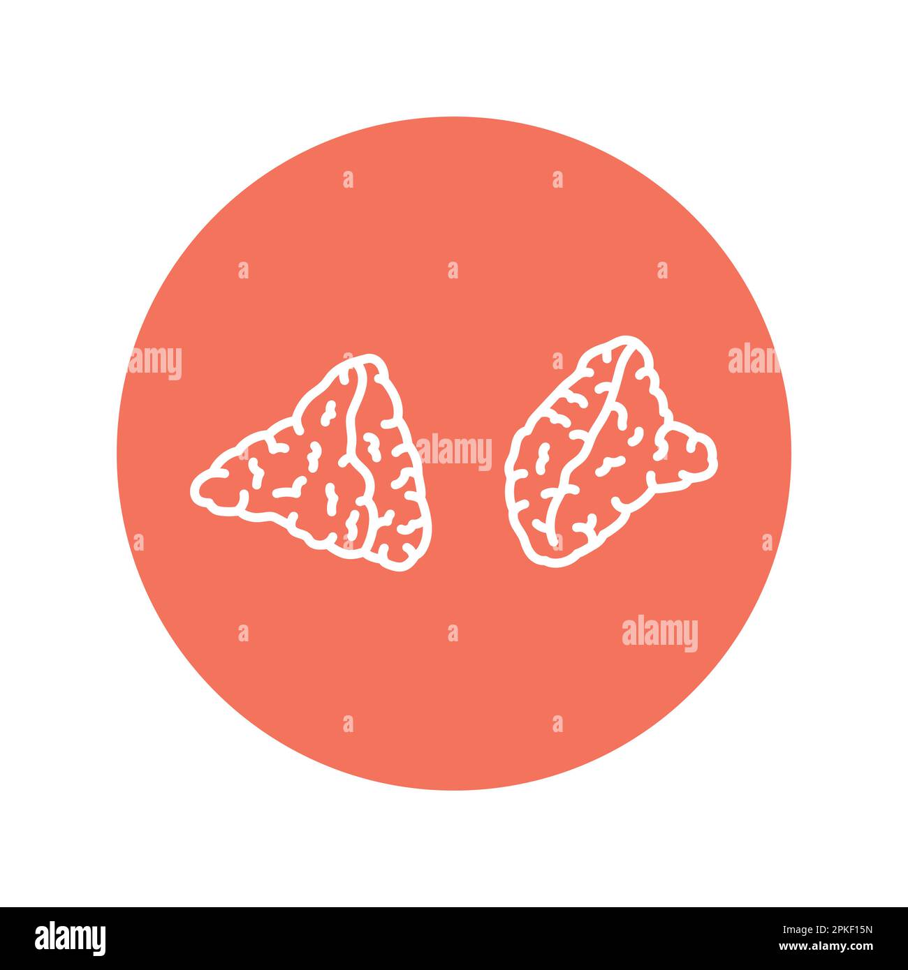 Icône de ligne de couleur des glandes surrénales. Système endocrinien. Pictogramme pour page Web, application mobile, Promo. Illustration de Vecteur