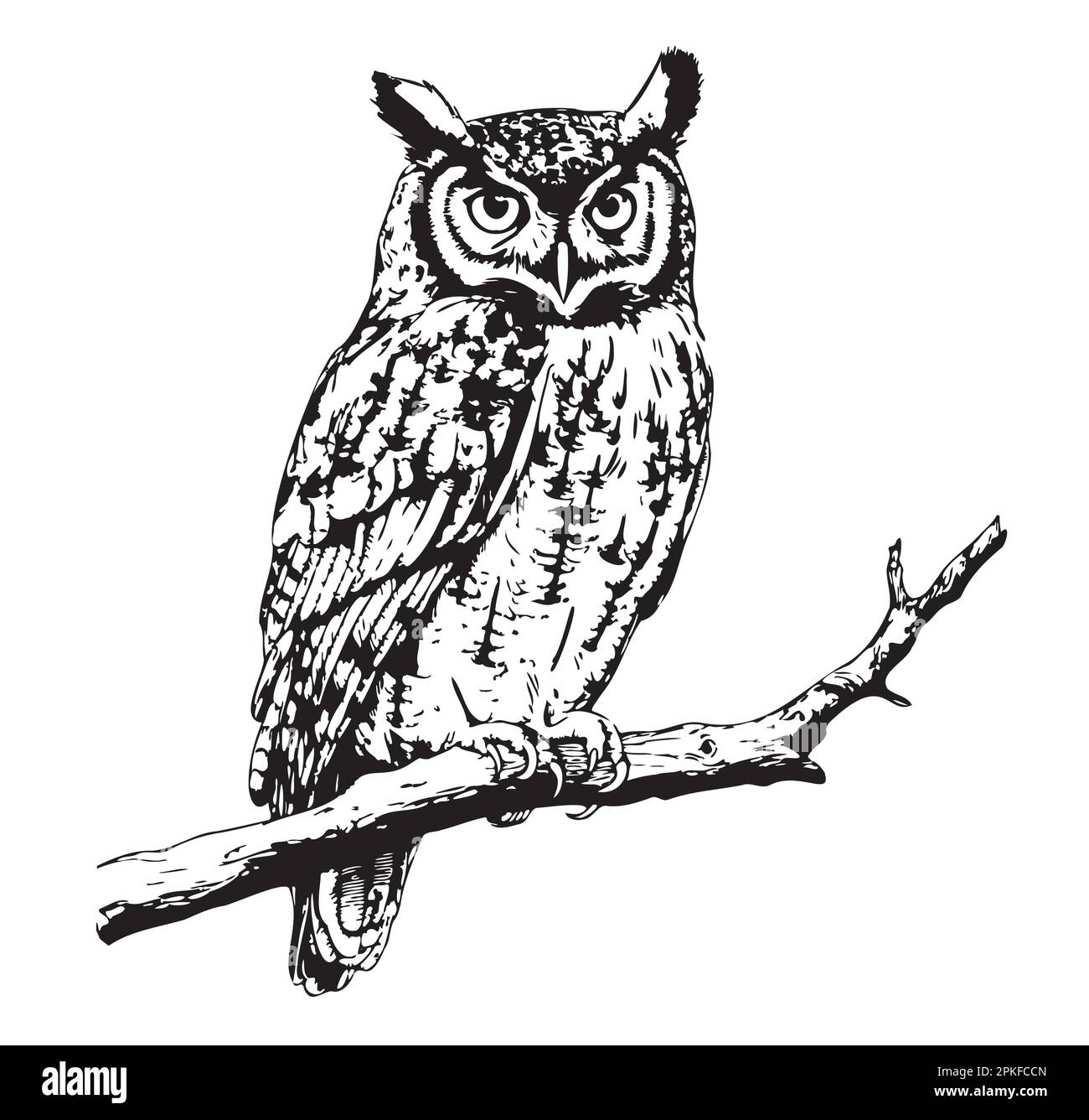 Hibou oiseau sur branche esquisse dessinée à la main Illustration vectorielle Joker Illustration de Vecteur Hibou oiseau sur branche esquisse dessinée à la main Illustration vectorielle Joker Illustration de Vecteur
