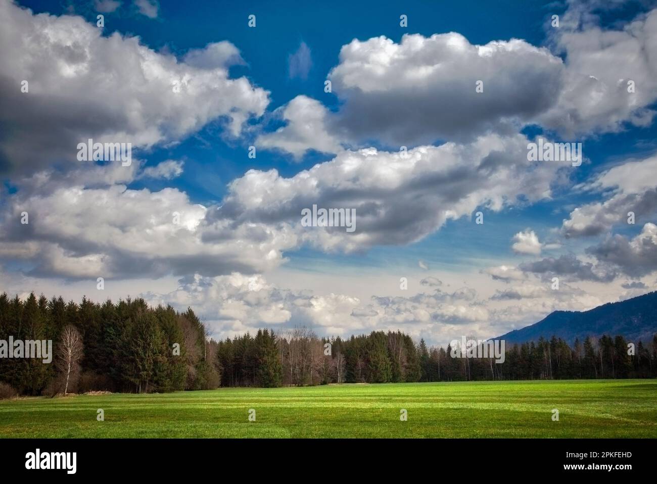 DE - BAVIÈRE: Hoffilze Moor au-dessous de Stallauer Eck montagnes près de Bichl, Oberbayern, Banque D'Images