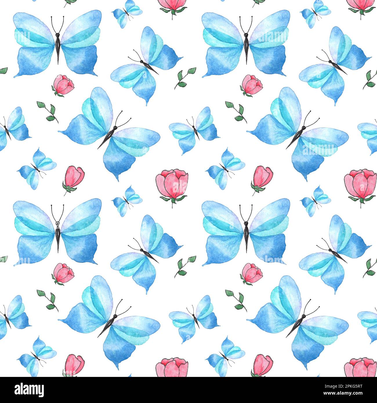 Aquarelle motif sans couture fleurs sauvages rouges, papillon bleu sur fond blanc, illustration peinte à la main de style botanique, pour l'impression de tissus Banque D'Images
