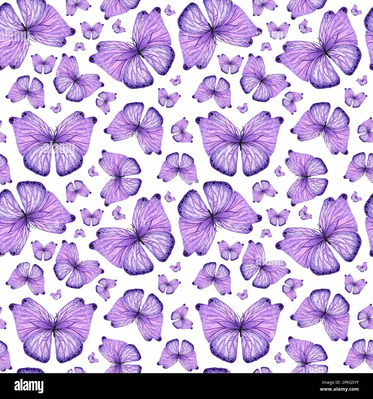 Motif aquarelle sans couture papillon violet sur fond noir, peint à la main dans le style botanique, pour les vacances, le mariage. Pack de papier numérique Banque D'Images