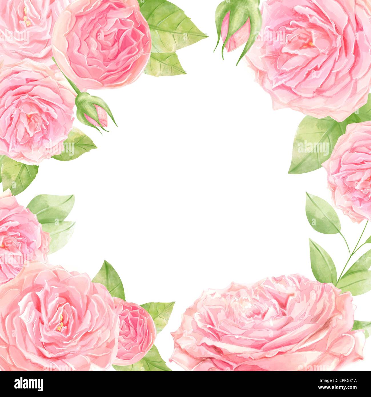 Motif d'invitation de mariage aquarelle avec rose. Fleurs sauvages, arrière-plan avec des souvenirs floraux pour le texte, arrière-plan aquarelle. Exemple de cadre. Banque D'Images