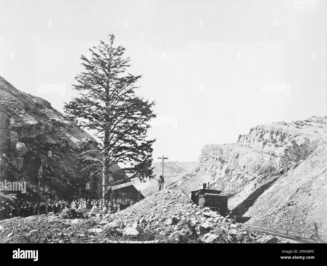 Thousand Mile Tree, passe de Wilhelmina négatif 1869; imprimé en 1870 par Andrew J. Russell Banque D'Images