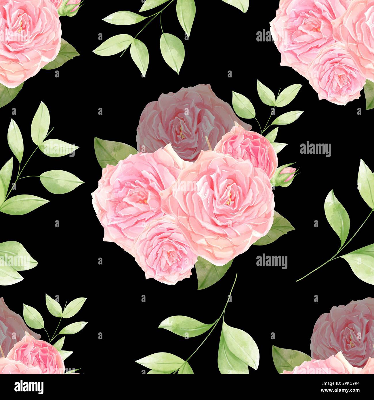 Roses roses isolées sur fond noir. Ensemble de divers éléments à motif fleuri. Motif bouquet de roses. Banque D'Images