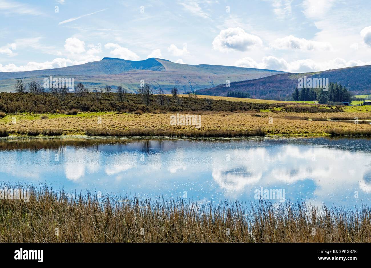 Une belle vue sur l'un des plusieurs étangs sur Mynydd Illtyd commune dans les Brecon Beacons vers Pen y Fan (à gauche) et Corn du (à droite). Banque D'Images