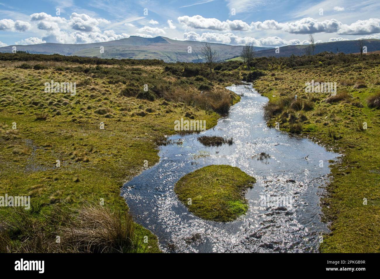 Bonne vue le long du cours d'eau menant à l'œil de Pen y Fan et Corn du sur le Mynydd Illtyd commun en avril avec des réflexions de nuages sur le cours d'eau.View to BR Banque D'Images