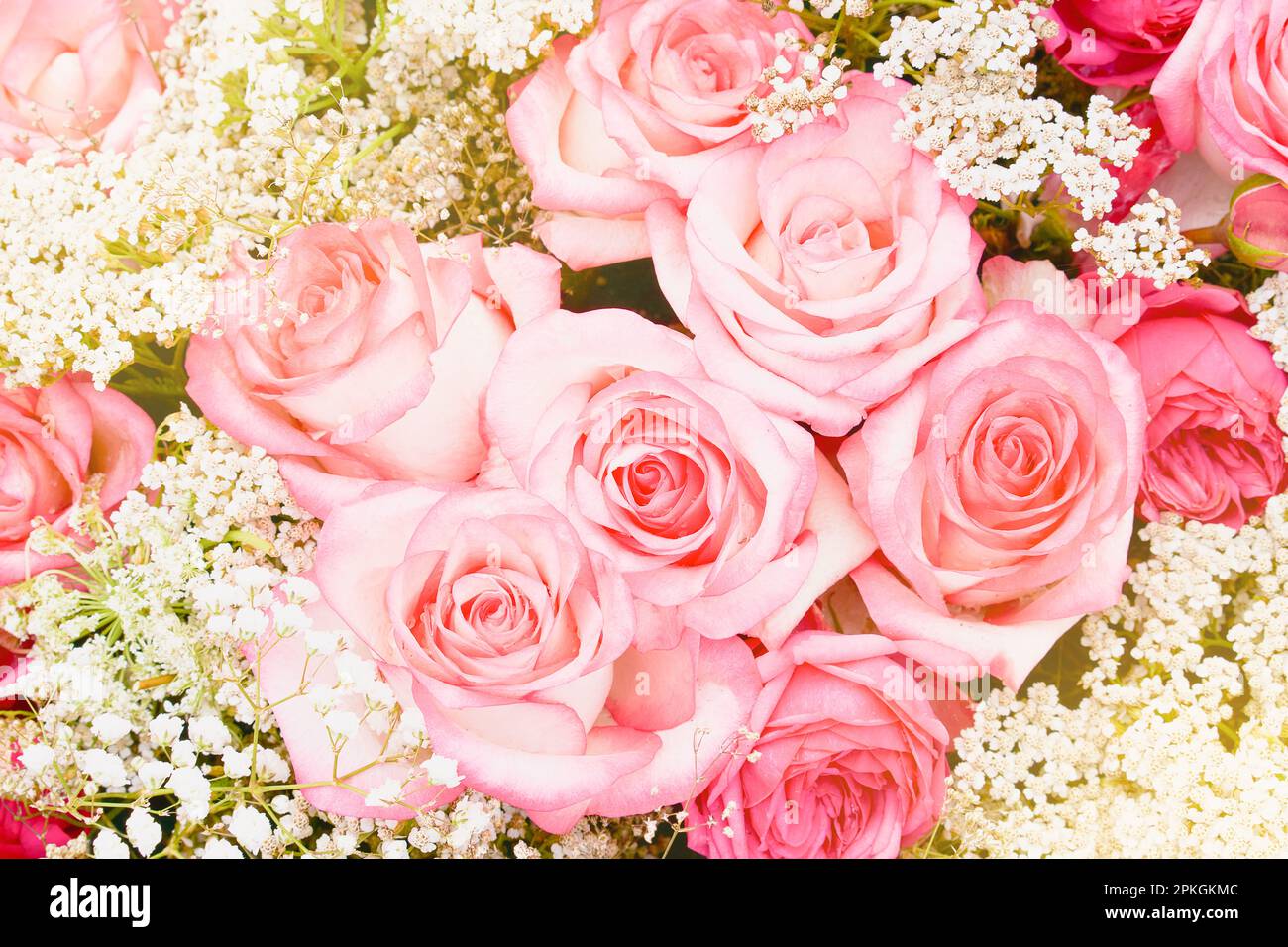 Bouquet de roses roses. Arrière-plan des fleurs. Vue de dessus, mise au point douce Banque D'Images