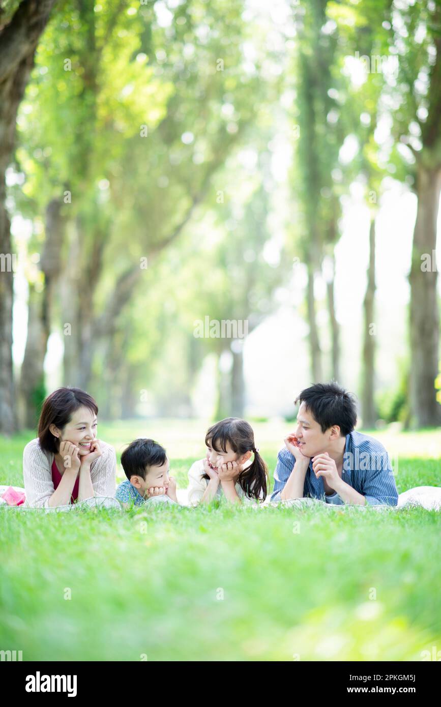 Famille couchée sur une rangée de peupliers Banque D'Images