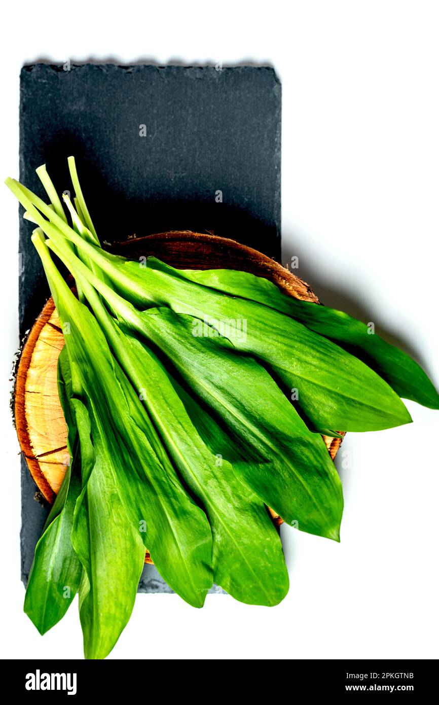 Allium ursinum, connu sous le nom d'ail sauvage, ramsons, Cowley, poireau de vache, Cowley, Sarrasins, ail à feuilles larges, ail en bois, poireau d'ours, g sauvage eurasien Banque D'Images