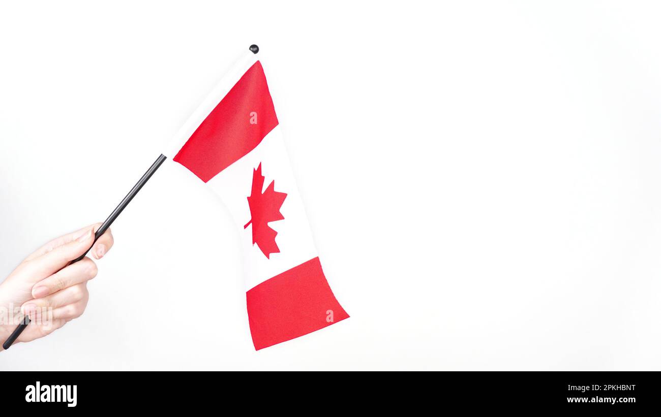 Main orgueilleusement le drapeau national du Canada. Fête du Canada, vote. Banque D'Images