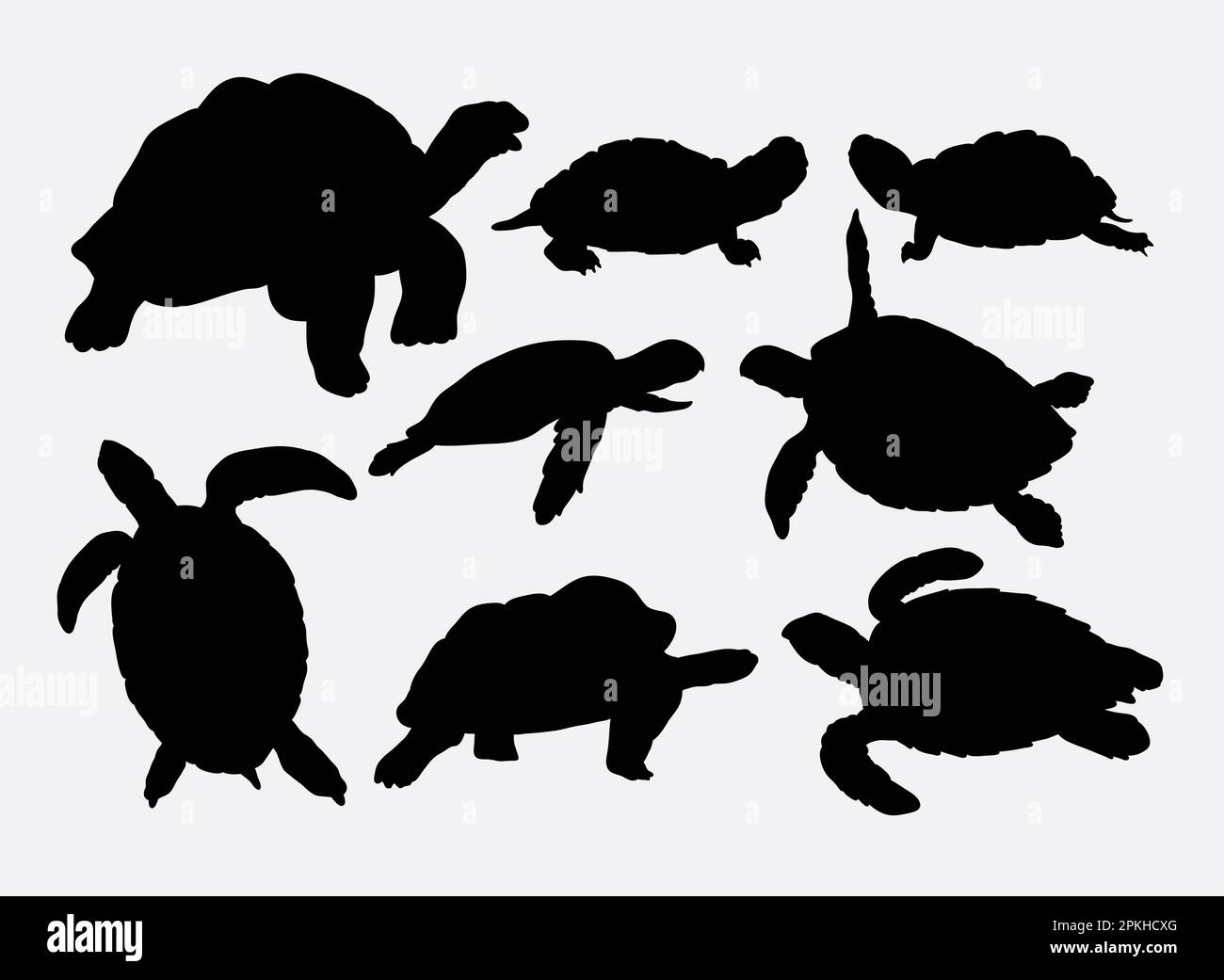 Silhouettes animaux tortue et tortue Illustration de Vecteur