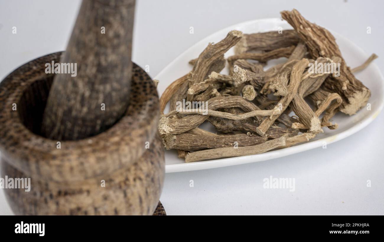 Mauvaise herbe de porc, diffusa de Boerhavia, racines séchées, sur un bol en céramique blanc. Banque D'Images