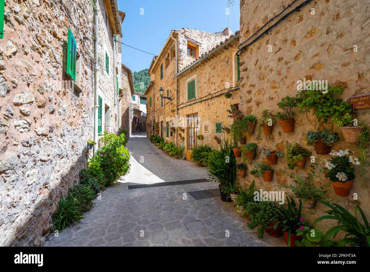 Maisons décorées de pots de fleurs, allée avec maisons typiques en pierre, Valldemossa, Serra de Tramuntana, Majorque, Iles Baléares, Espagne Banque D'Images