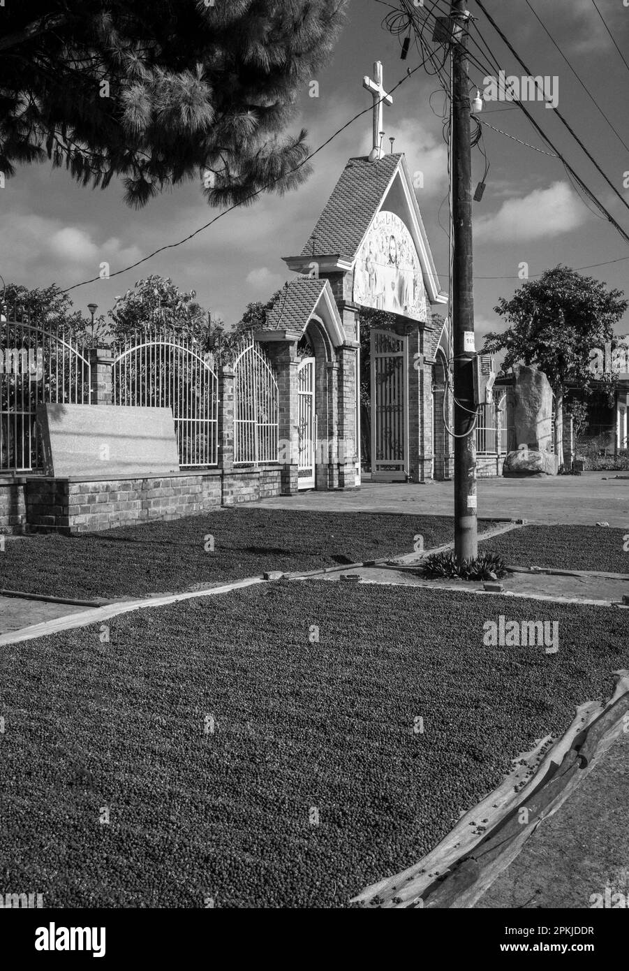 Des cerises fraîchement cueillies séchant sur le trottoir à l'extérieur de l'église catholique Hoang yen à Chu Prong, province de Gia Lai, Vietnam. Banque D'Images