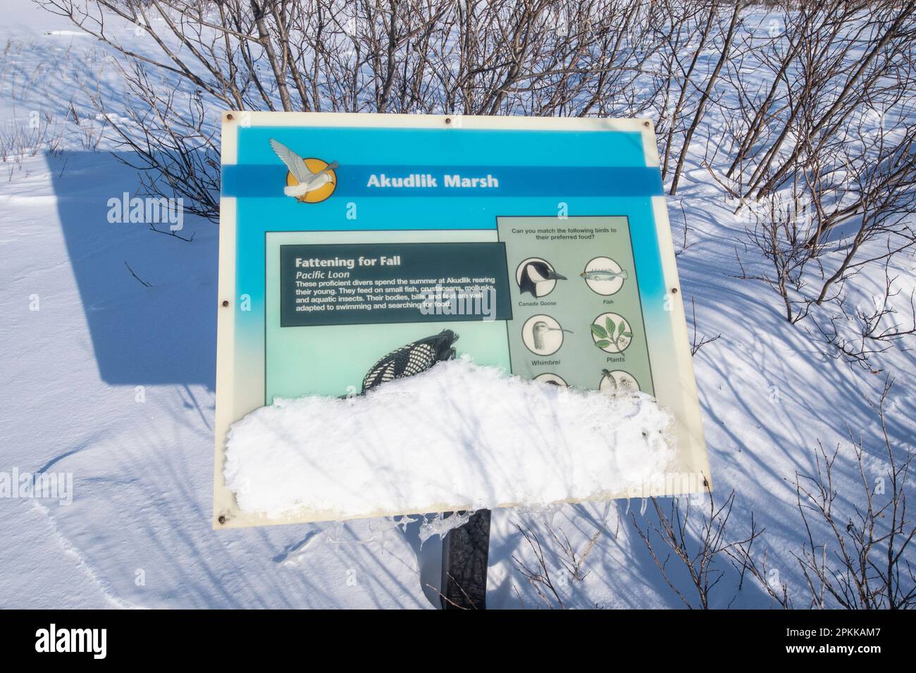 Akudlik Marsh signe à Churchill, Manitoba, Canada Banque D'Images