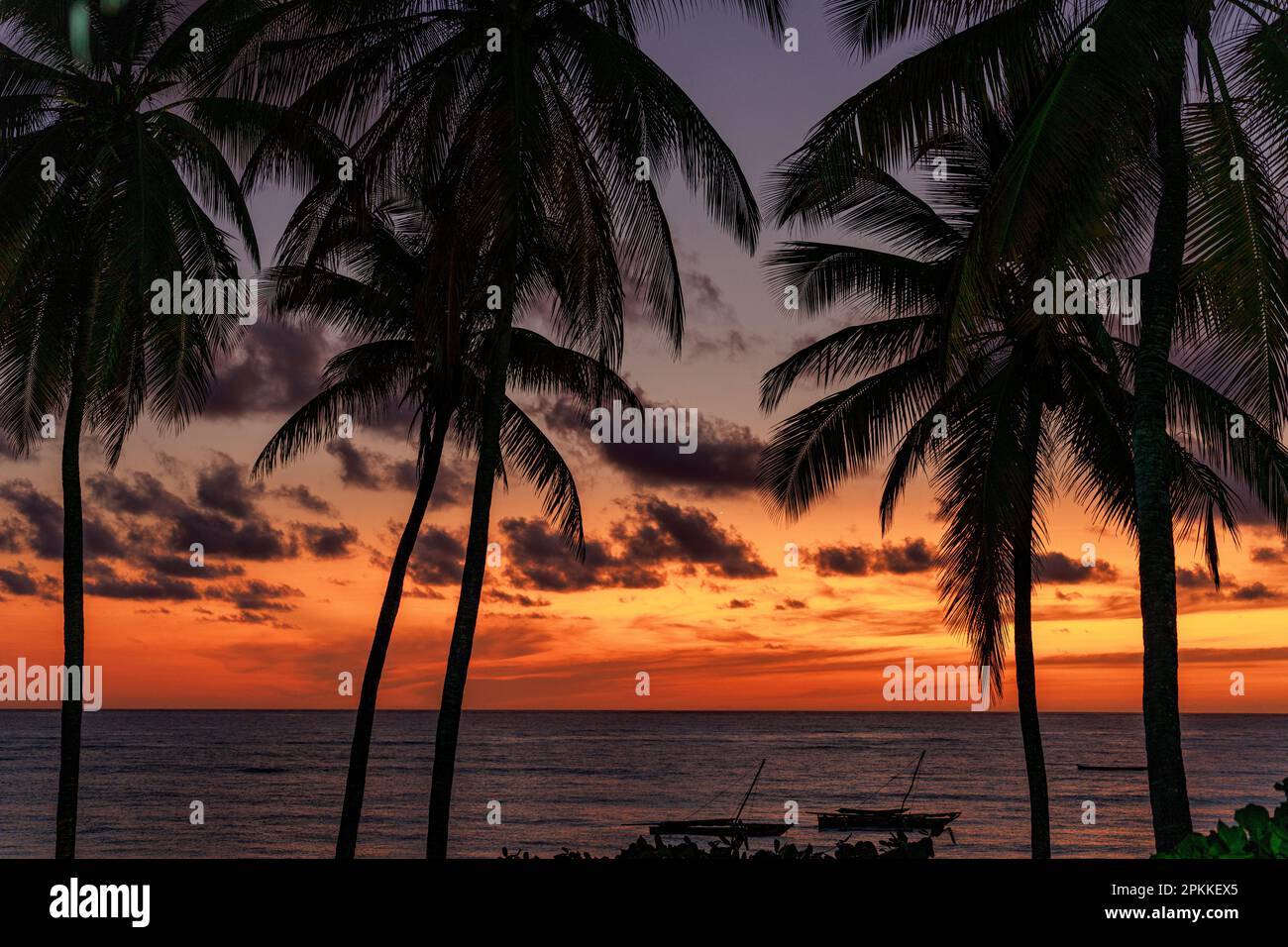 Ciel de lever de soleil tropical sur silhouettes de palmiers et bateaux amarrés, Jambiani, Zanzibar, Tanzanie, Afrique de l'est, Afrique Banque D'Images