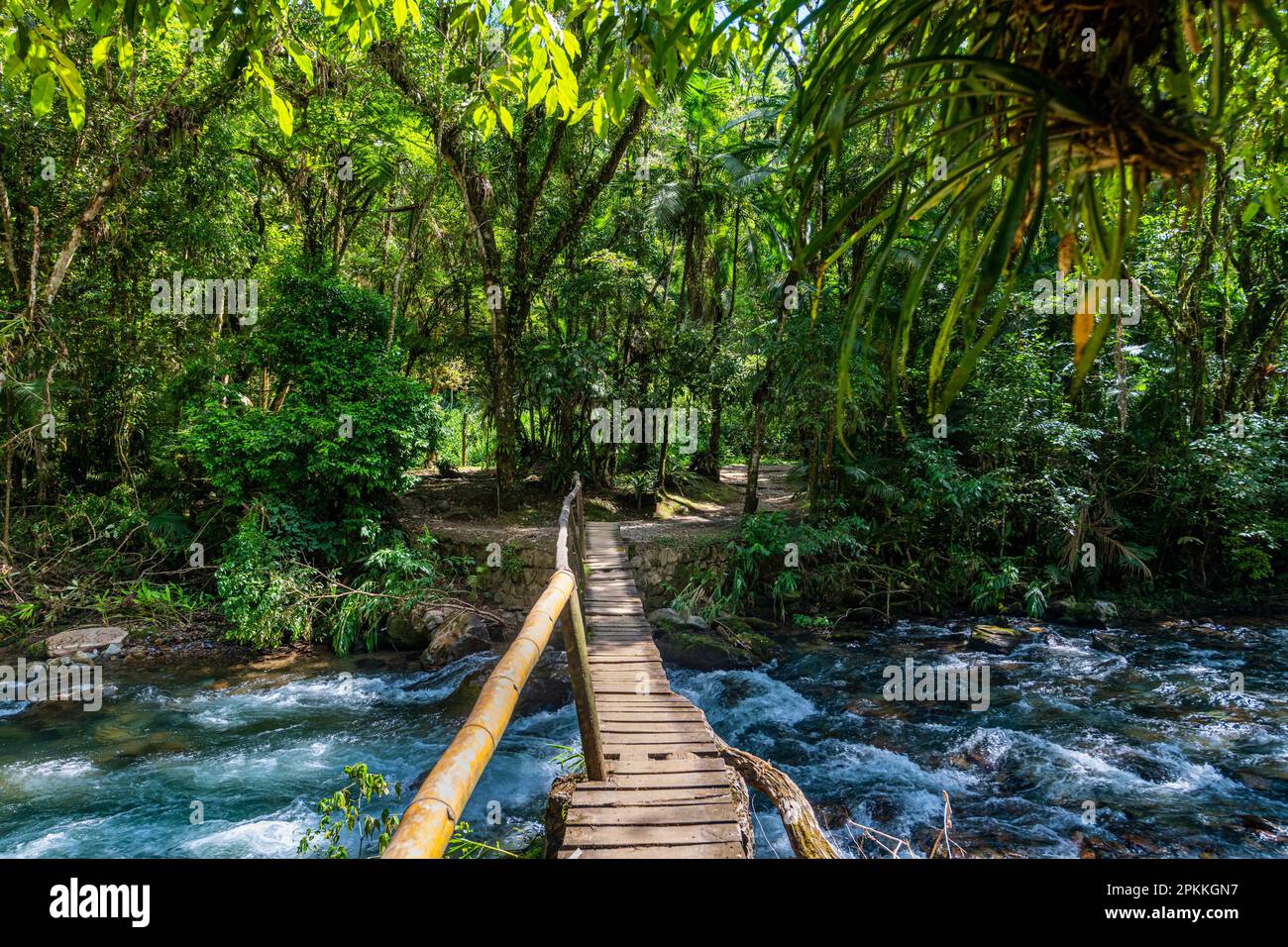 Passerelle au-dessus de la rivière Batari, réserves du Sud-est de la forêt atlantique, parc régional touristique d'Alto Ribeira, État de Sao Paulo, Brésil Banque D'Images