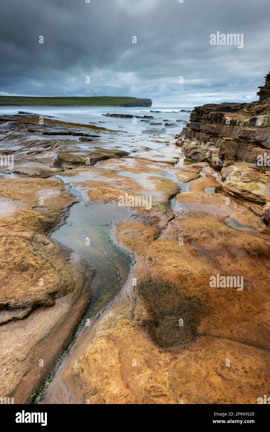 Anciennes crêtes de grès rouge à la baie de Skaill, continentale, Orcades, Écosse, Royaume-Uni, Europe Banque D'Images