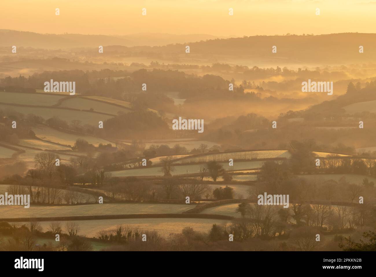 Aube d'hiver dans la campagne de Dartmoor, Moretonhampstead, Devon, Angleterre, Royaume-Uni, Europe Banque D'Images