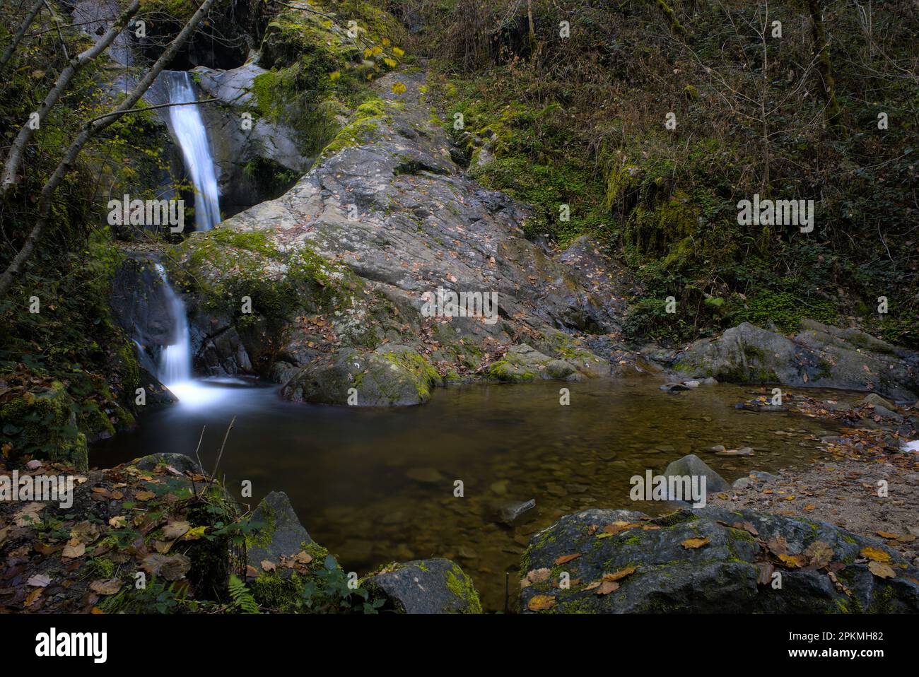 Cascade naturelle dans la forêt, atmosphère magique Banque D'Images