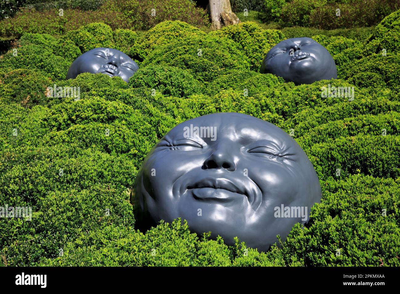 Gouttes de pluie (grands visages représentant diverses émotions humaines) par l'artiste espagnol Samuel Salcedo aux Jardins d'Etretat (Seine-Maritime), France Banque D'Images