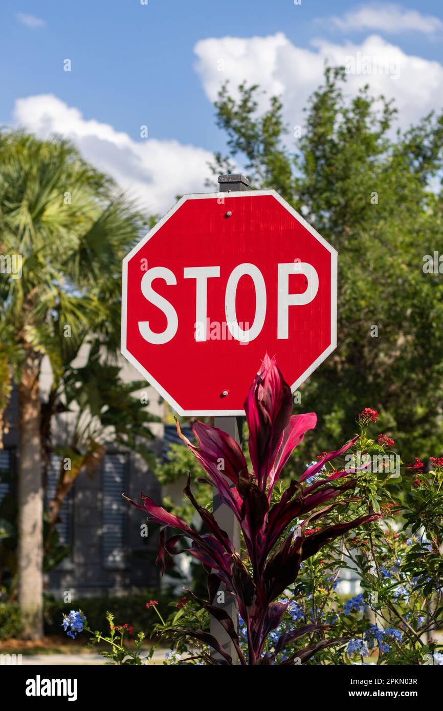 Un gros plan du panneau rouge STOP au milieu des arbres tropicaux, ciel bleu Banque D'Images