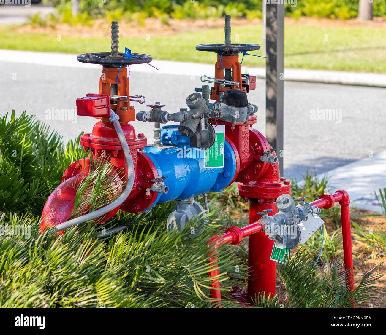 Une photo d'une borne d'incendie rouge à deux vannes dans la région du lac Nona, en Floride. Herbe verte autour Banque D'Images