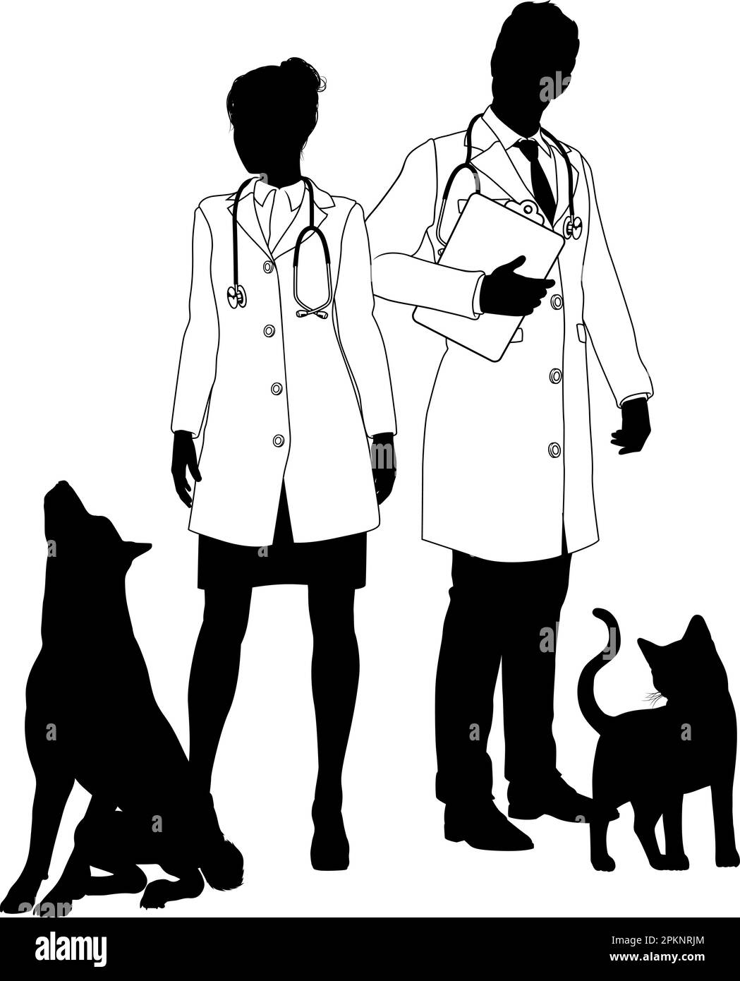 Homme et femme vétérinaires chien et chat animaux Silhouette Illustration de Vecteur