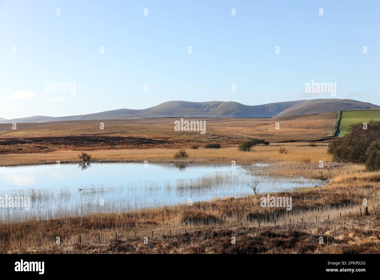 Sunbiggin Tarn et The Howgill Fells, Cumbria, Royaume-Uni Banque D'Images