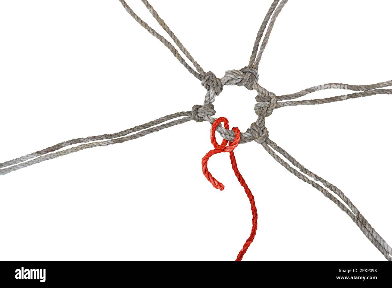 Les cordes rustiques se rejoignent dans un anneau noué, l'un d'entre eux en rouge a une fin lâche, concept entre cohésion, individualisme et burnout, isolé sur un W. Banque D'Images