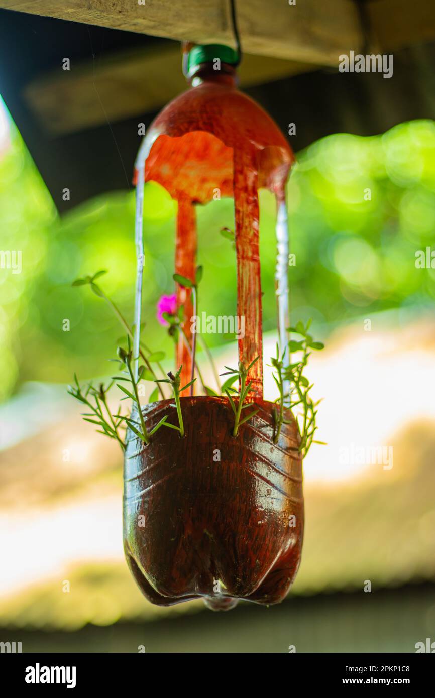 Comment faire des pots de fleurs avec des bouteilles en plastique ?