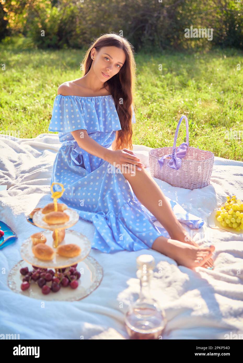 Scène de pique-nique : petite fille douce assise sur un terrain de pique-nique dans le parc. Portrait extérieur de jeune femme adorable en robe bleue Banque D'Images