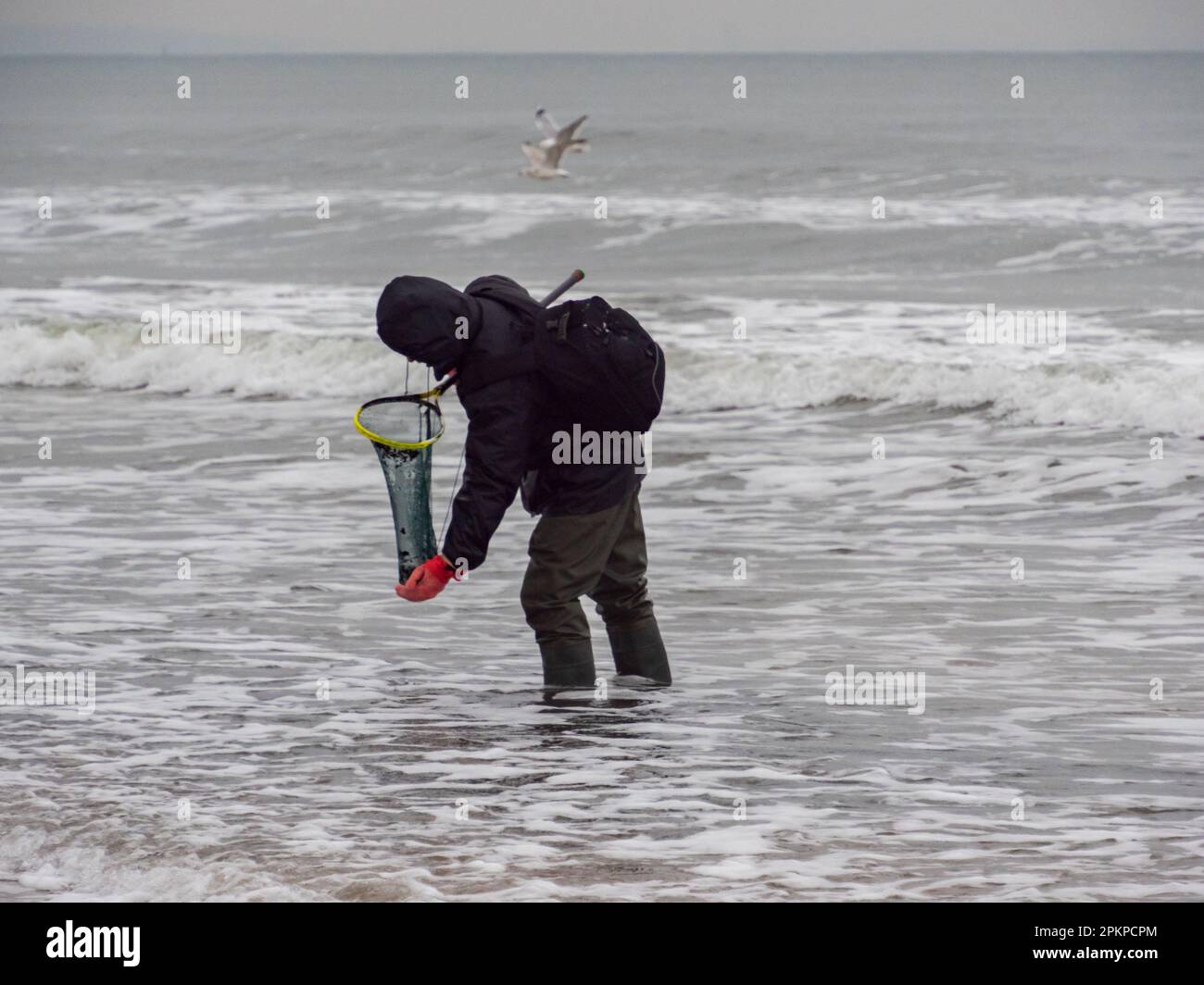 Gdańsk, Pologne - Fév, 2022: Amateurs d'ambre pendant le temps venteux sur la côte de la mer Baltique. Gdansk. Europe de l'est. Banque D'Images