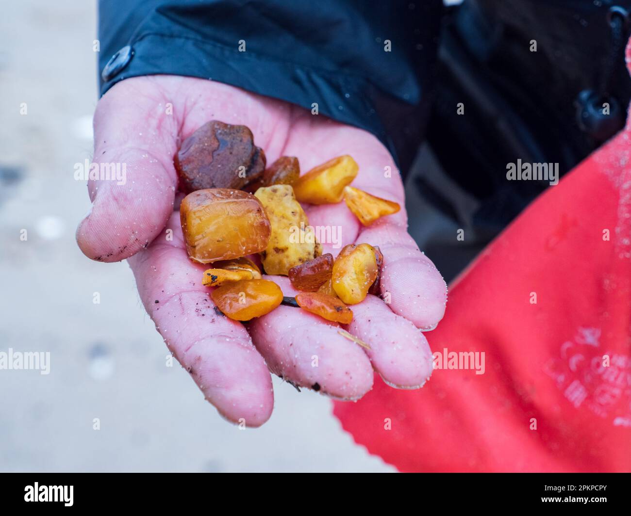 Gdańsk, Pologne - Fév, 2022: Amateurs d'ambre pendant le temps venteux sur la côte de la mer Baltique. Gdansk. Europe de l'est. Banque D'Images