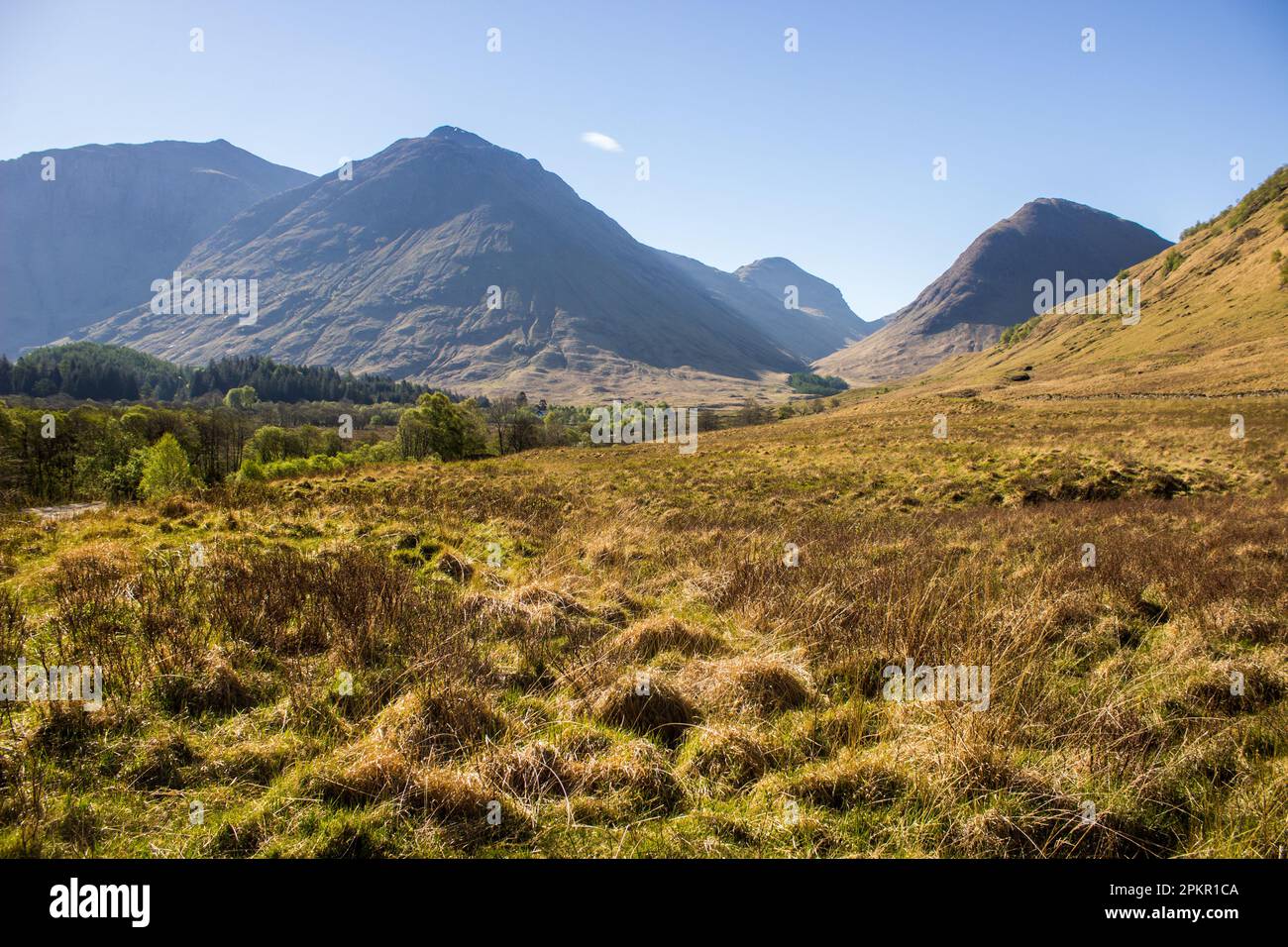 Heathland Dans Une Vall e Avec Glen COE Et Ses Montagnes S levant En Heathland Dans Une Vall e Avec Glen COE Et Ses Montagnes S levant En